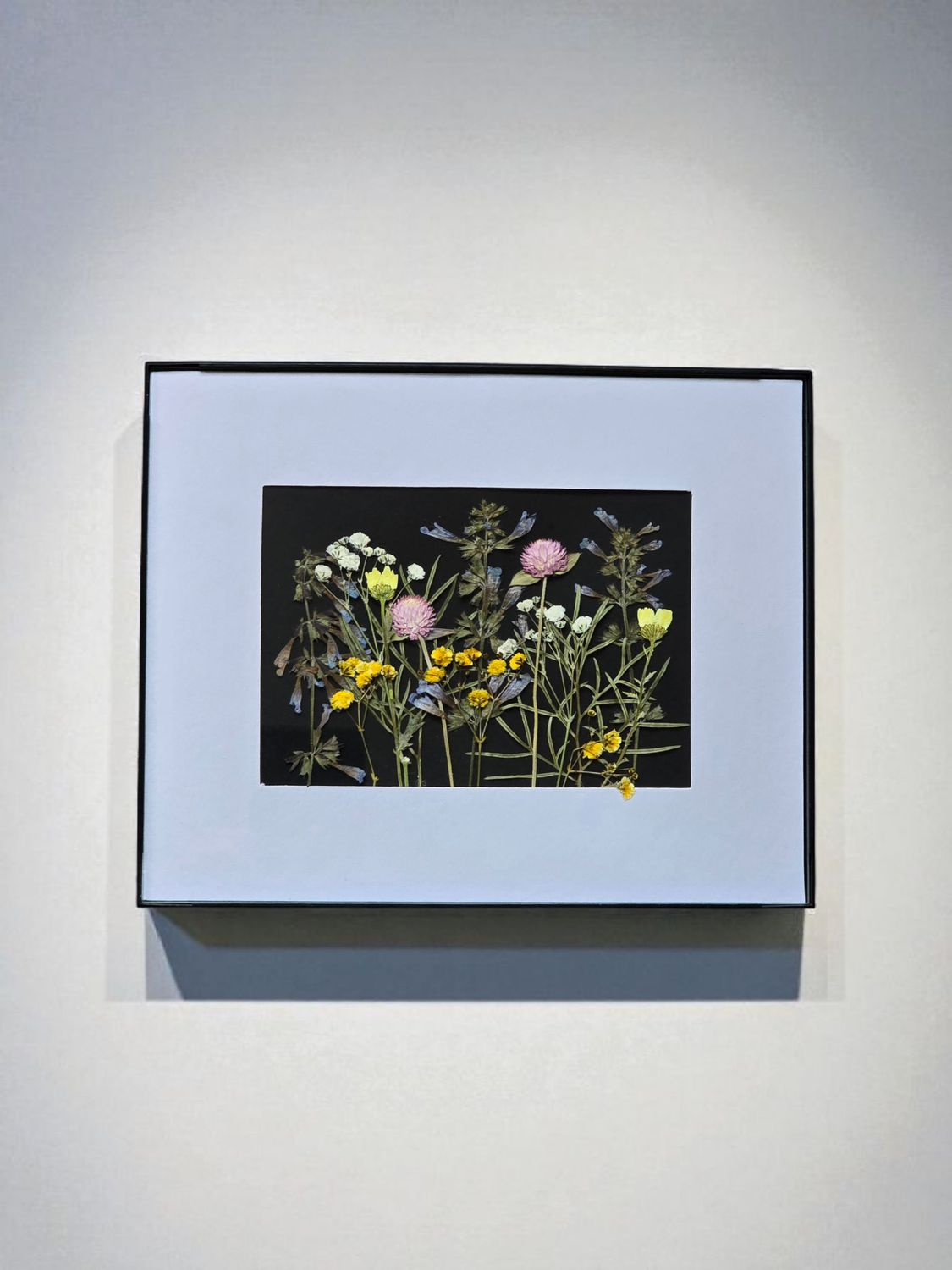 Pressed Flower Frame with Yellow & Pink Wildflowers – Real Dried Botanical Wall Art 8 x 10 in