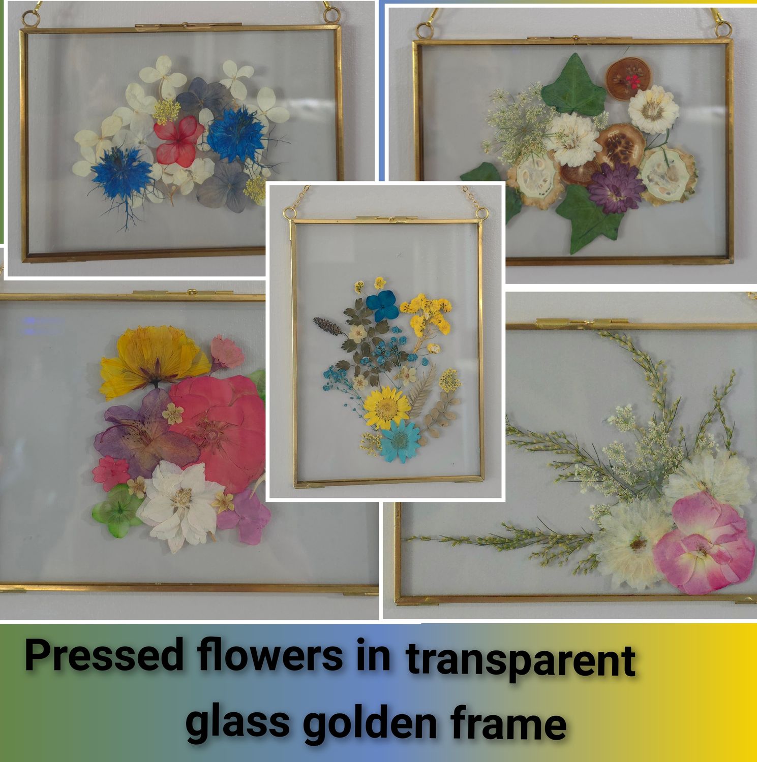 Pressed Flower Glass Gold Frame – Real Dried Floral Wall Decor 5.25 x 7.25 inches
