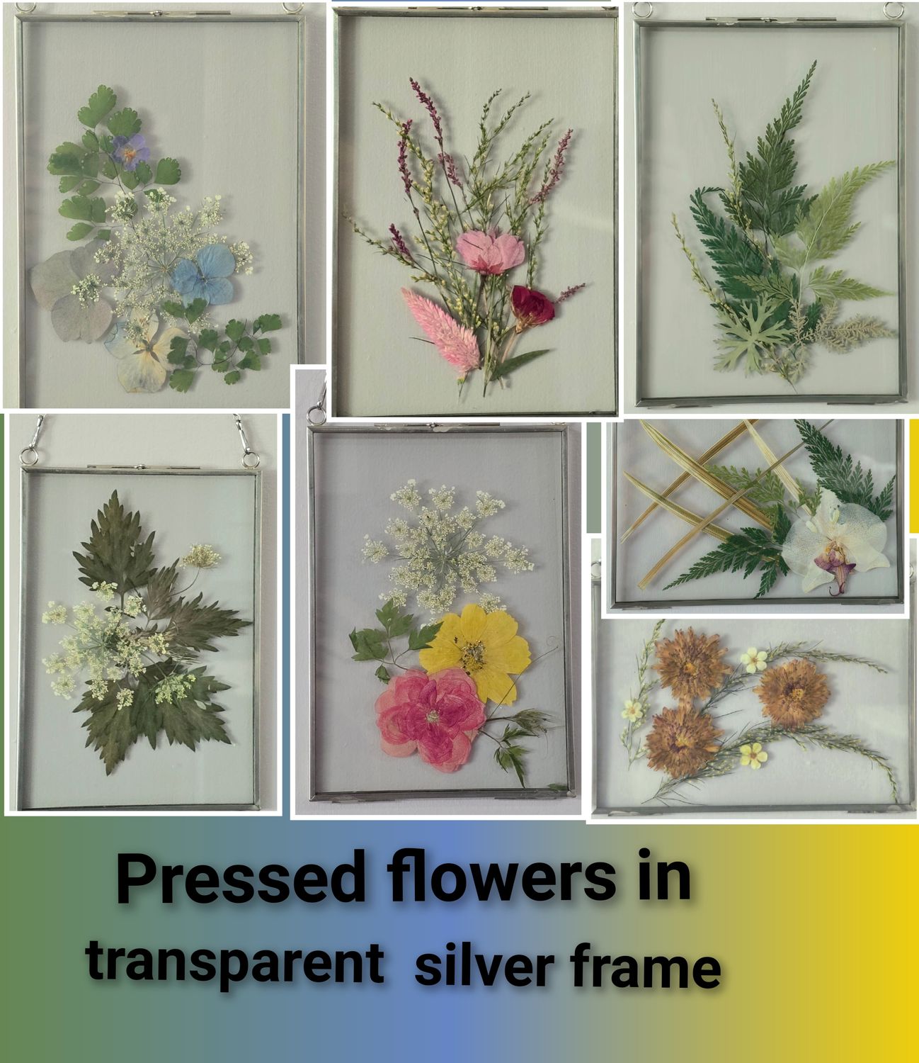 Pressed Flower Glass Silver Frame – Real Dried Floral Wall Decor 5.25 x 7.25 inches