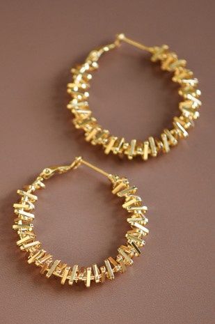 Stainless Steel Hoops