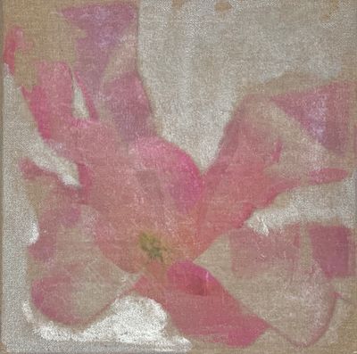 Foto-Transfer auf Leinwand - Sternmagnolie 1