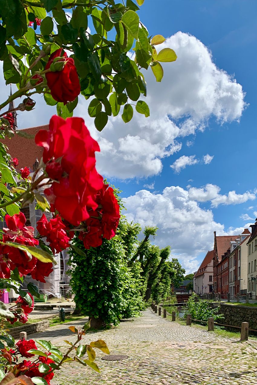 Foto-Druck auf Leinwand - Hansestadt Wismar - Slow Walking Eleven