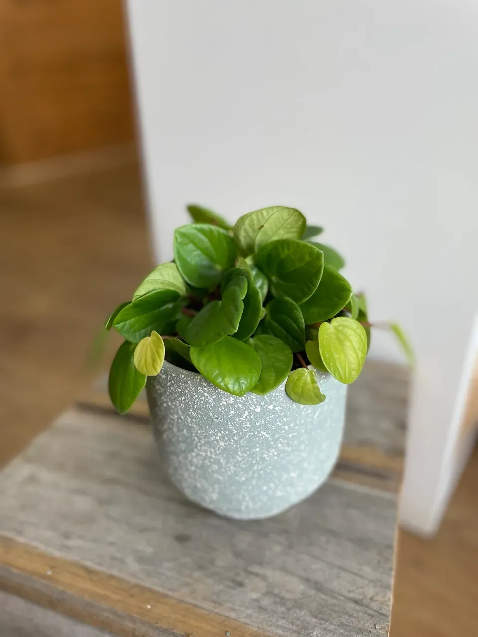 Jade