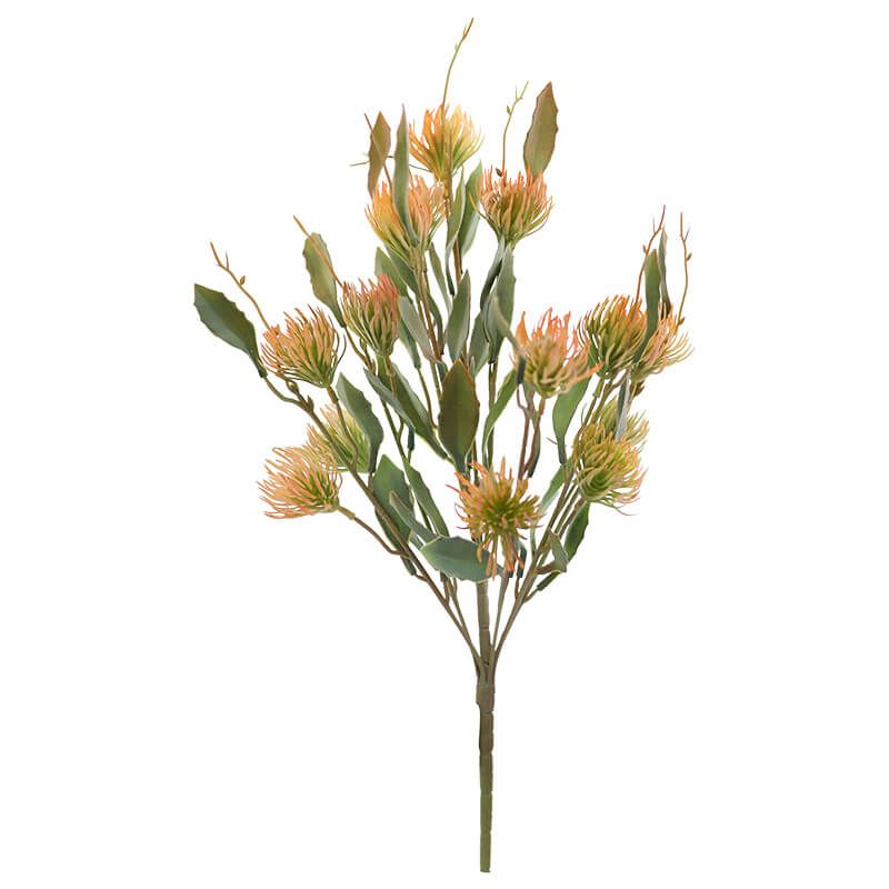 Botanicals Orange Pin Cushion Bunch 52cm