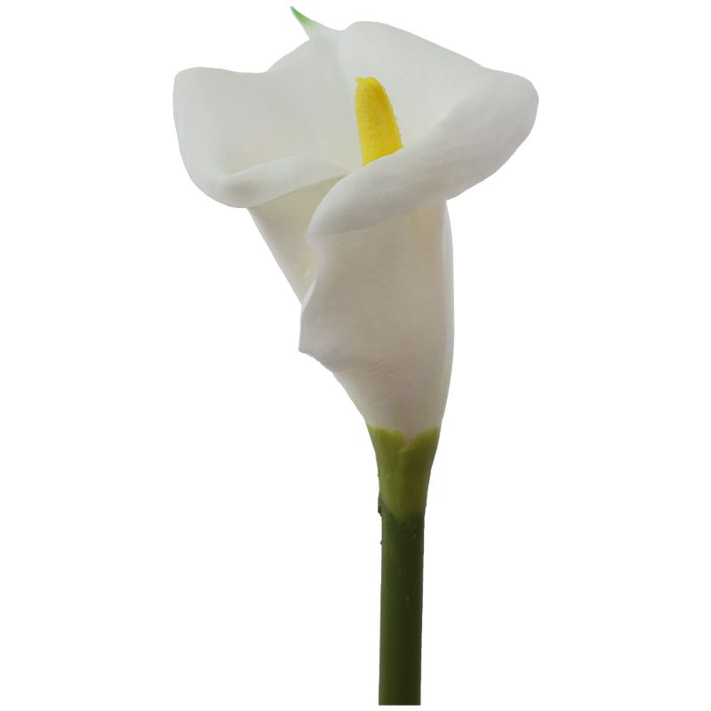 Botanicals White Arum Lily 67cm