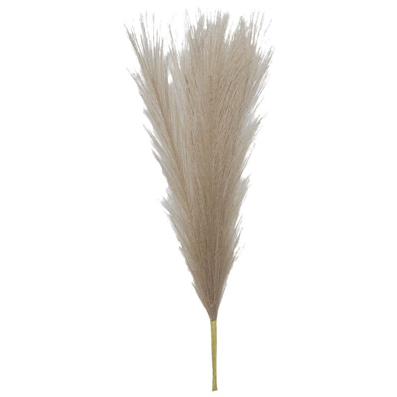 Botanicals Oatmeal Pampas Grass 44cm