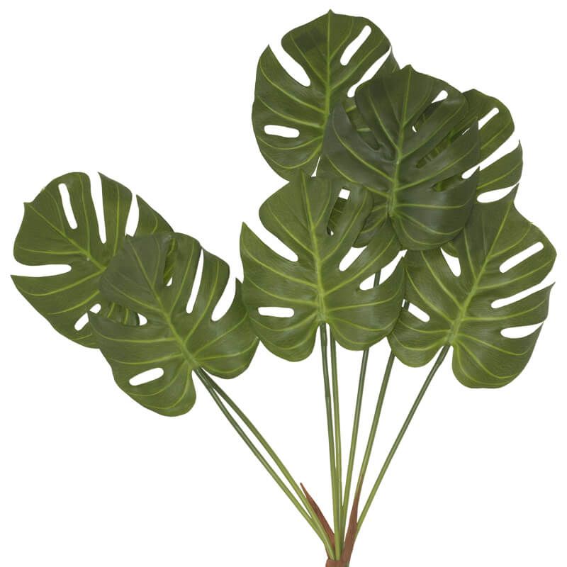 Botanicals Delicious Monster Bunch 70cm