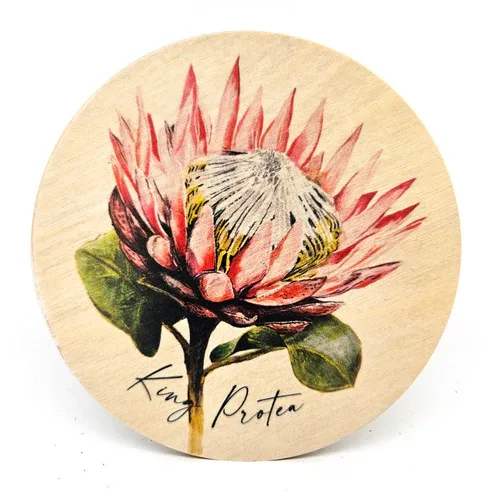 South Africa Coasters