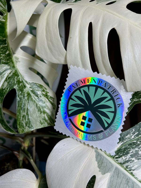 PalmenPatrick Hologramm-Sticker-Limited Edition