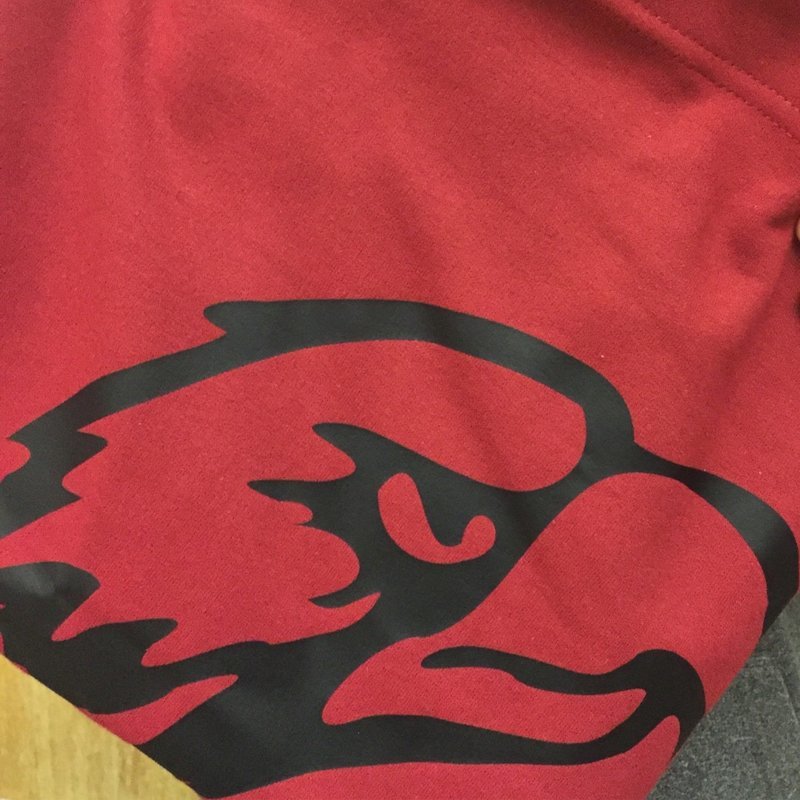 Stadium Blanket 1 left!!!