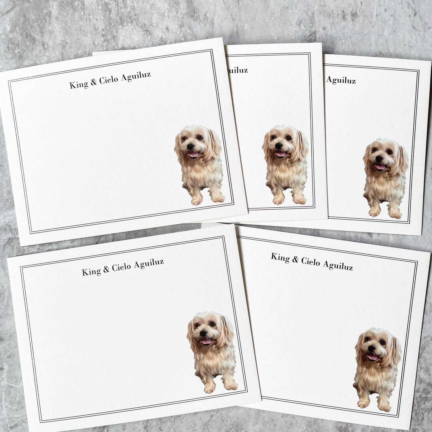 Personalized Pet Note Card