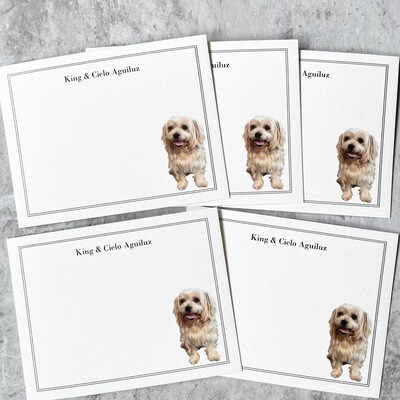 Personalized Pet Note Cards