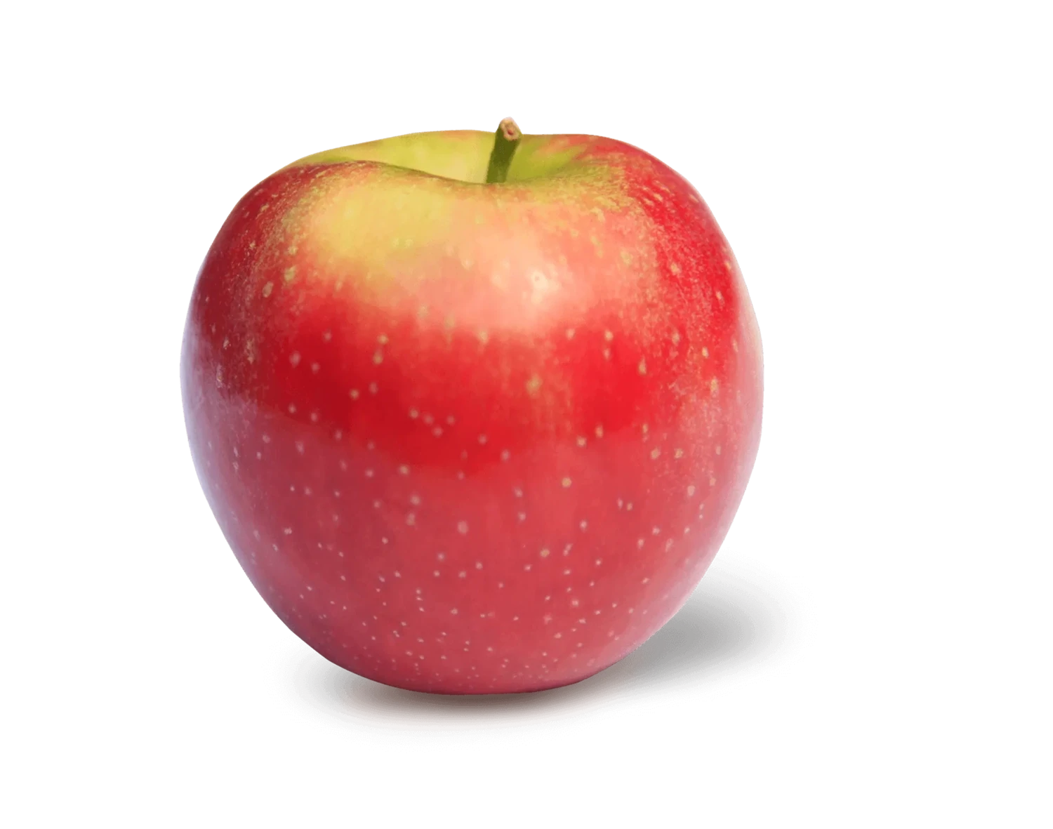 Appel