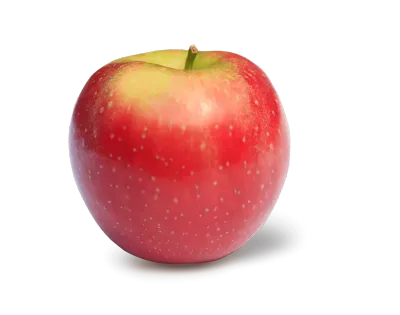 Appel Appel