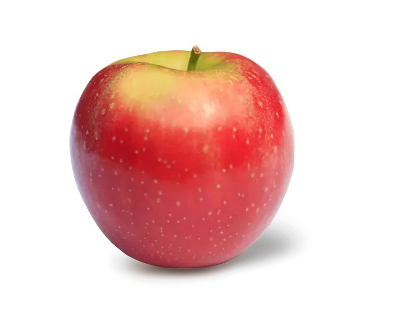 Appel