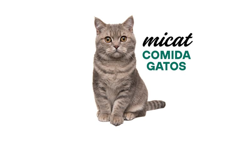 EURO CAT 30/9 - 20 kg
