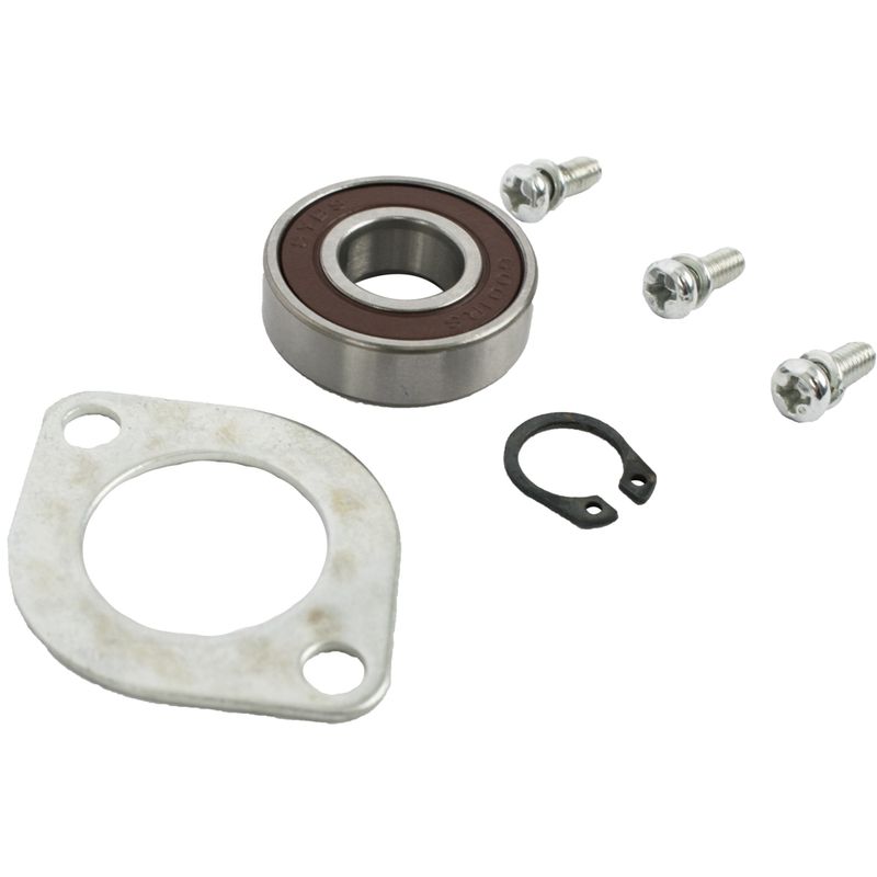 POLISHER S/KIT ARMATURE FRONT BEARING &amp; SCREWS (21-25) FOR POL02