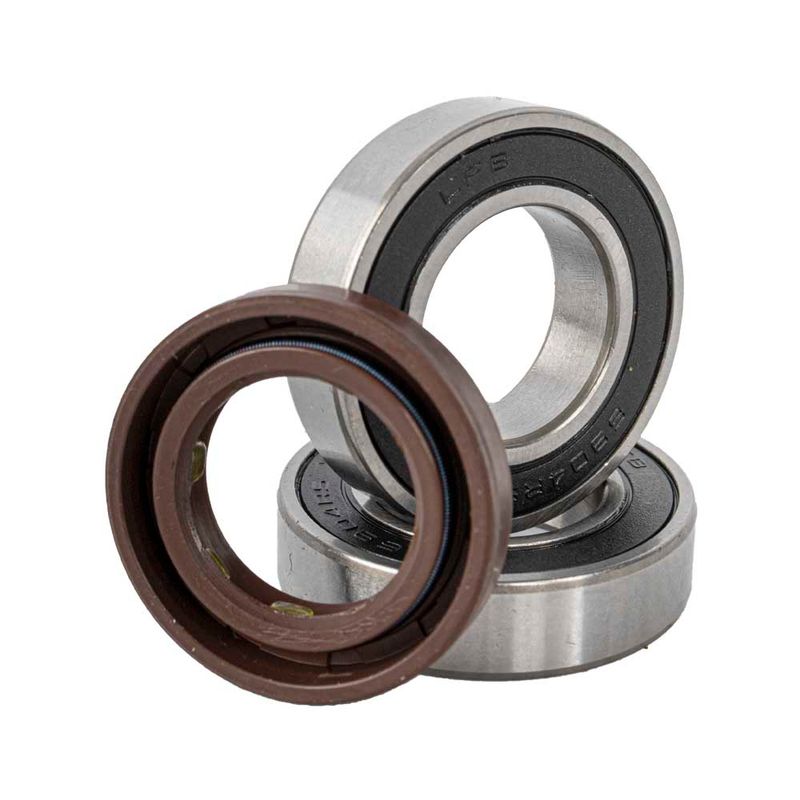 BEARING KIT &amp; OIL RING (11/14/21 MOTOR SERVICE KIT