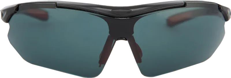 PIONEER O VISION SPECTACLE