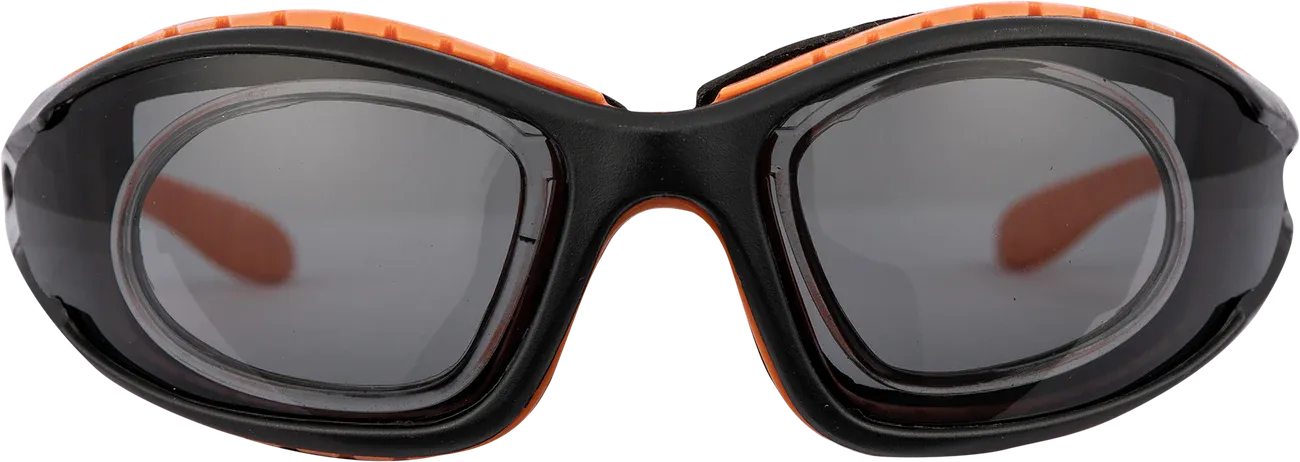 PIONEER VISION SPOGGLE