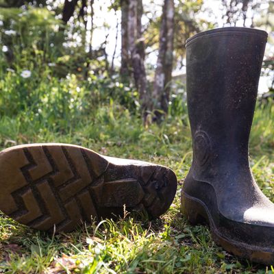 Gumboots