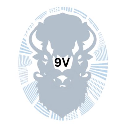 Type 9V