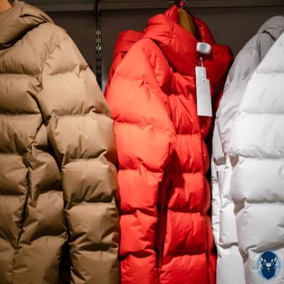 Winter Jackets