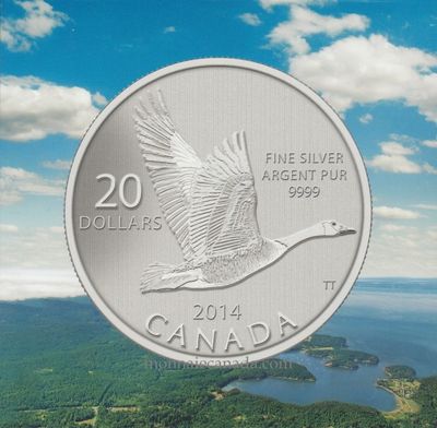 Own the 2014 $20 Fine Silver Coin - Canada Goose — Monnaie Canada