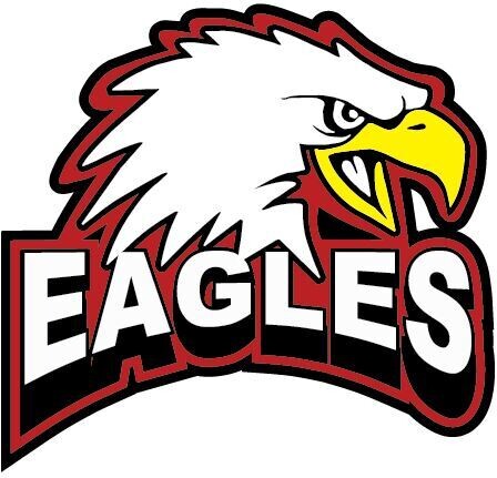 New Eagle Car Decal 6" tall - Closeout