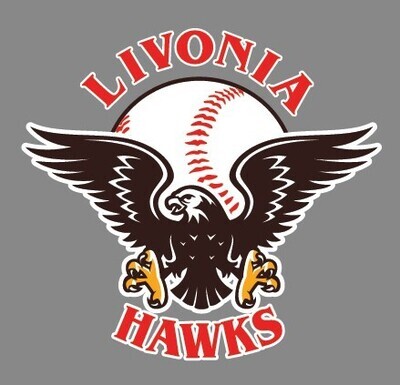 Livonia Hawks Car Decal 5&quot; tall