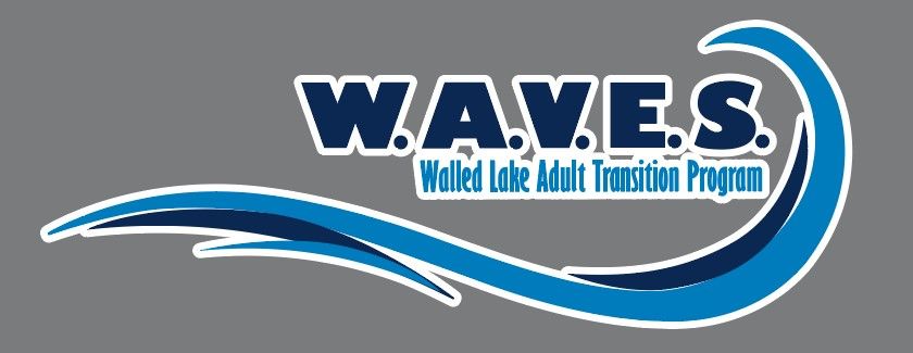 WAVES Original Logo Car Decal