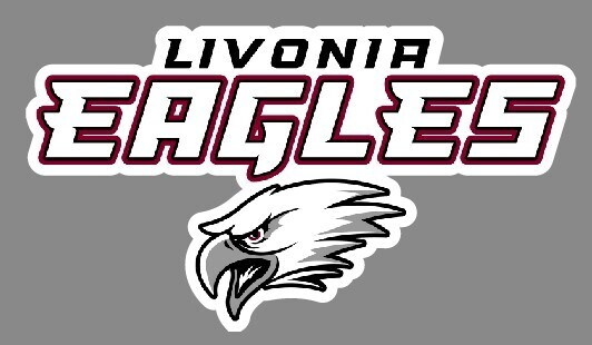 Eagles Car Decal