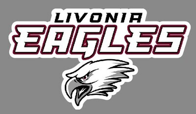Eagles Car Decal