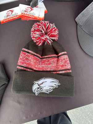 Eagles Stripe Pom Beanie