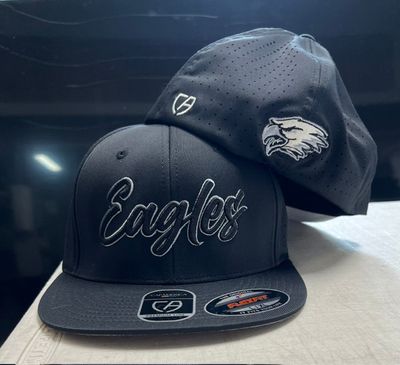 3D Embroidered Eagles Hat BLACK/SILVER L/XL