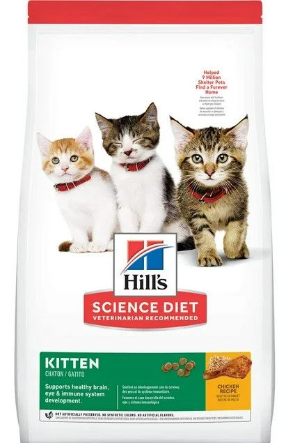 SD Kitten HD, Size: 3.5lb