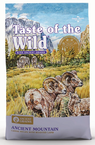 TOW Ancient Mountain