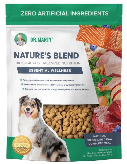 DR MARTY FZDR RAW