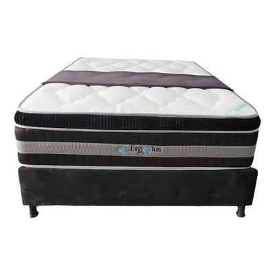 ​ERGOPLUS ( CON BASECAMA )