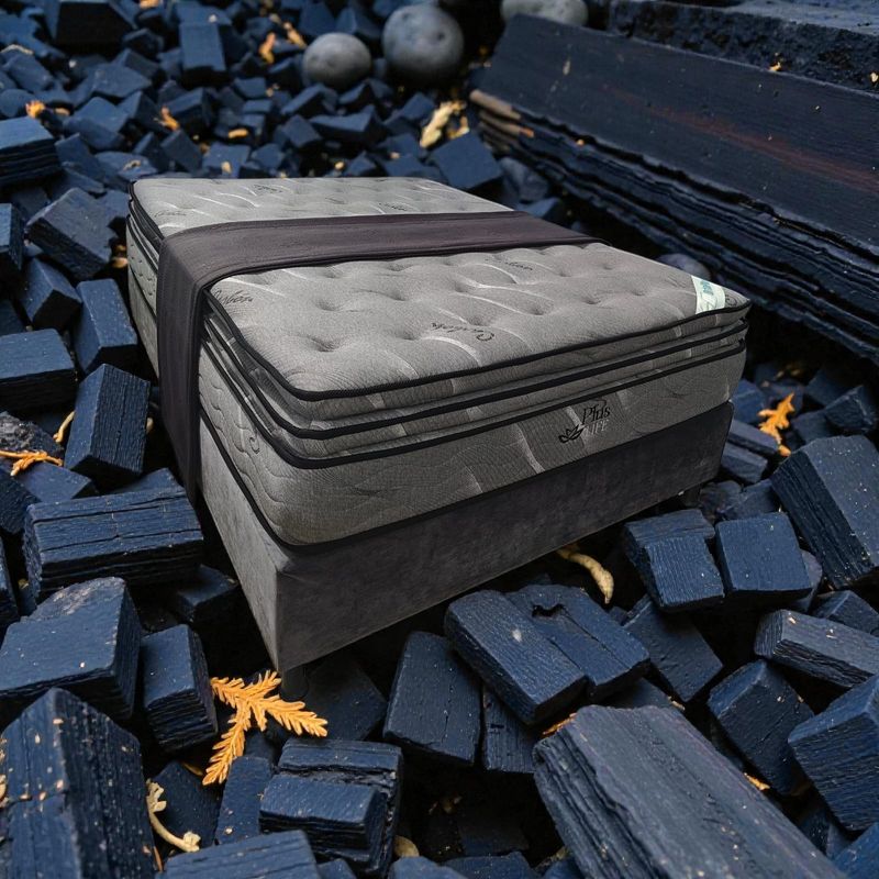 PLUS LIFE (CON BASECAMA)