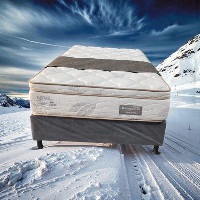 ALOE VERA (CON BASECAMA) ALOE VERA (CON BASECAMA)