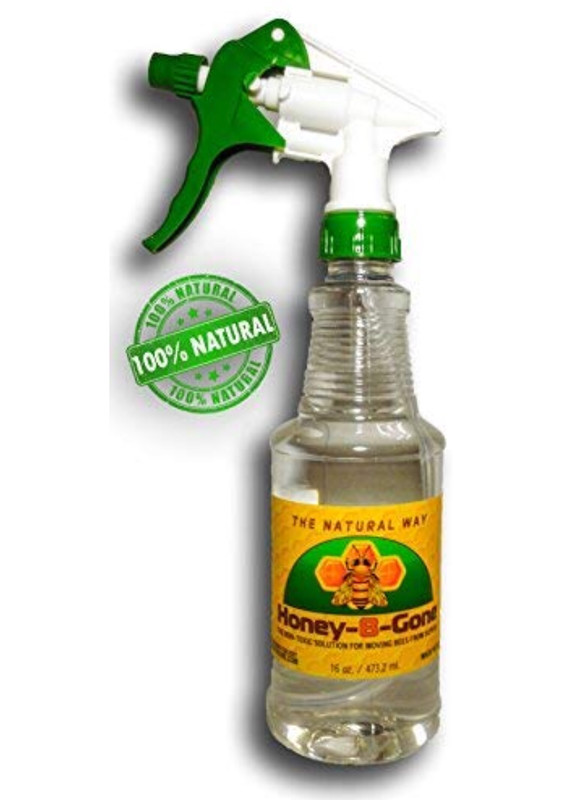 Honey B Gone