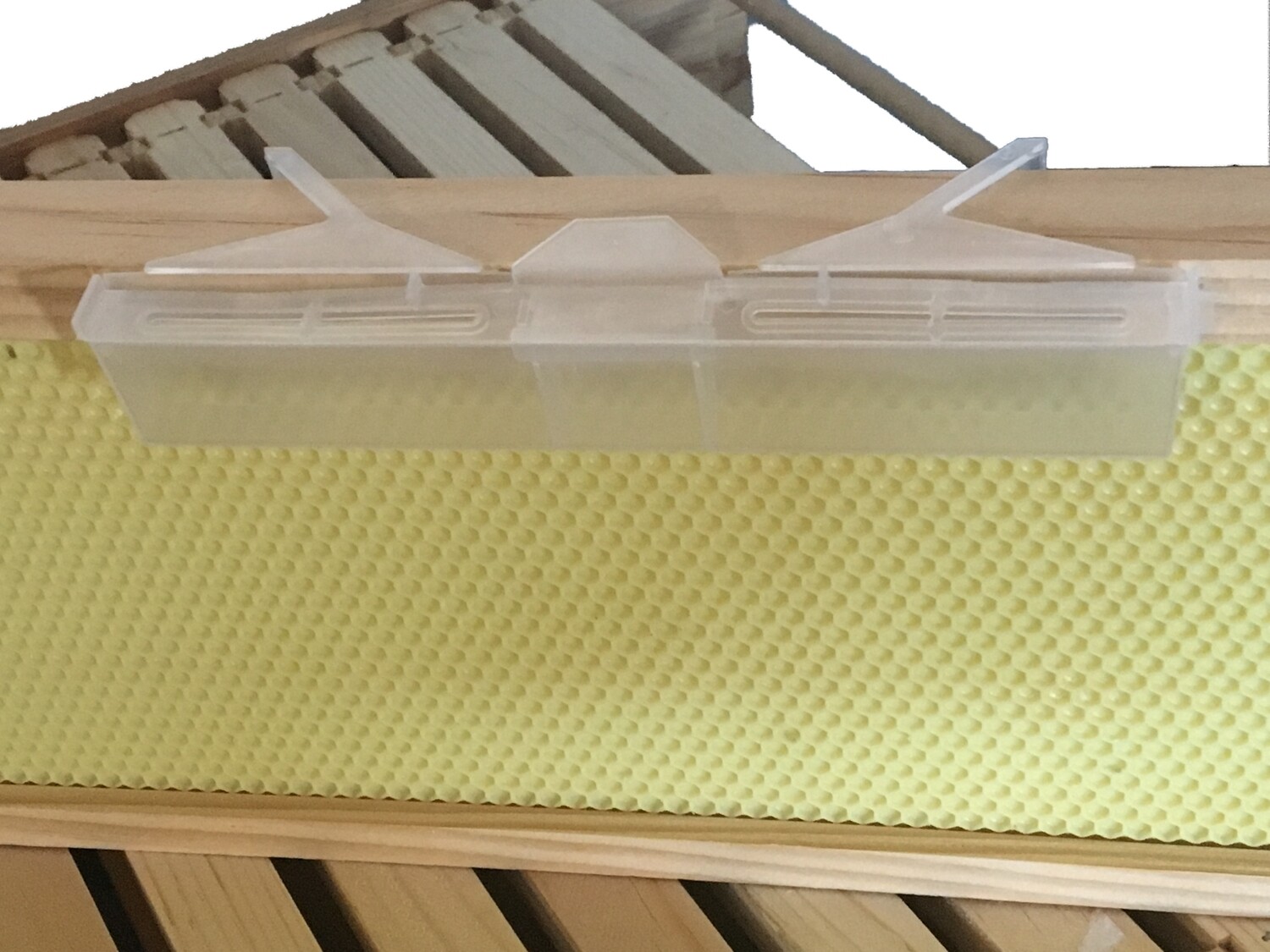 Small Hive Beetle Jail
