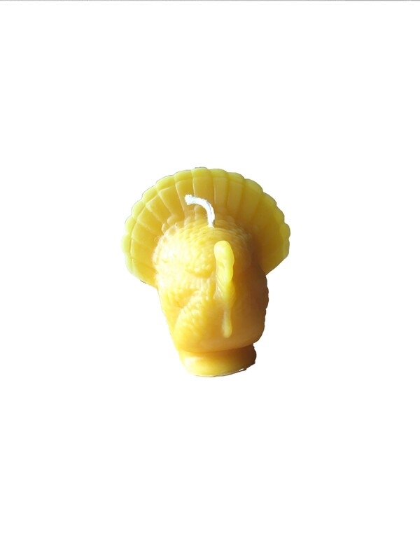 Turkey Candle Mold
