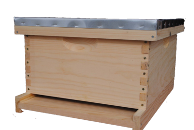 Beginner Basic Hive Kit  with Tools &amp; Veil