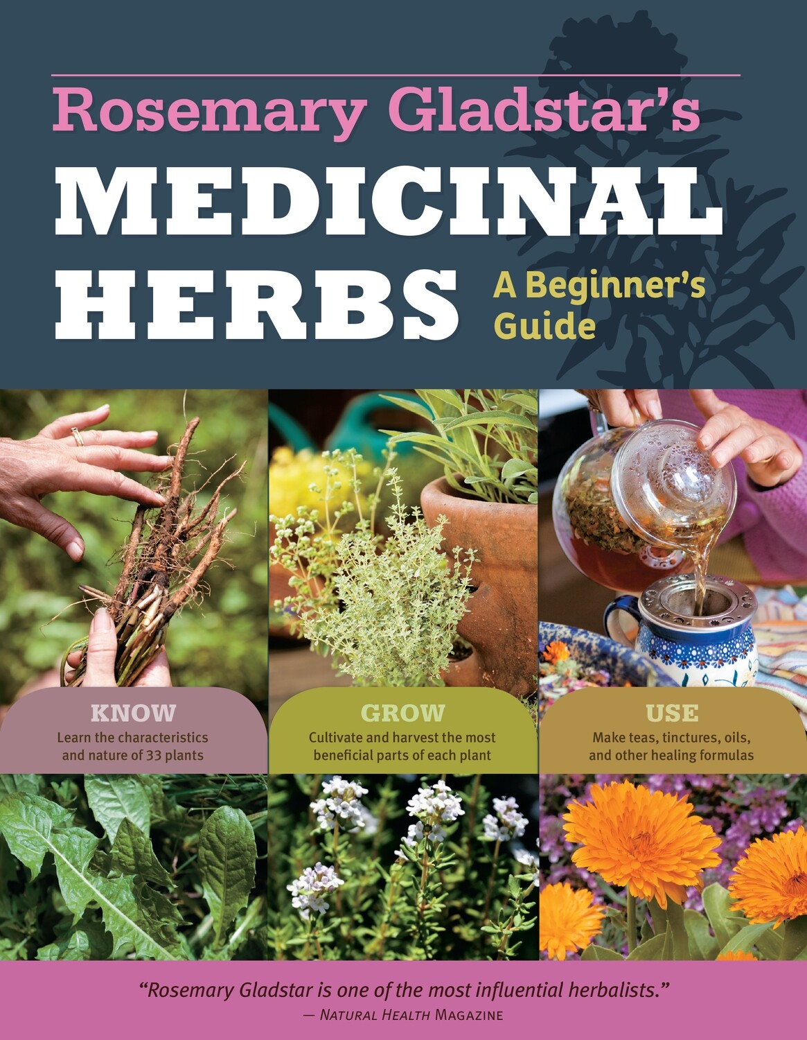 Medicinal Herbs: A Beginner&#39;s Guide Book
