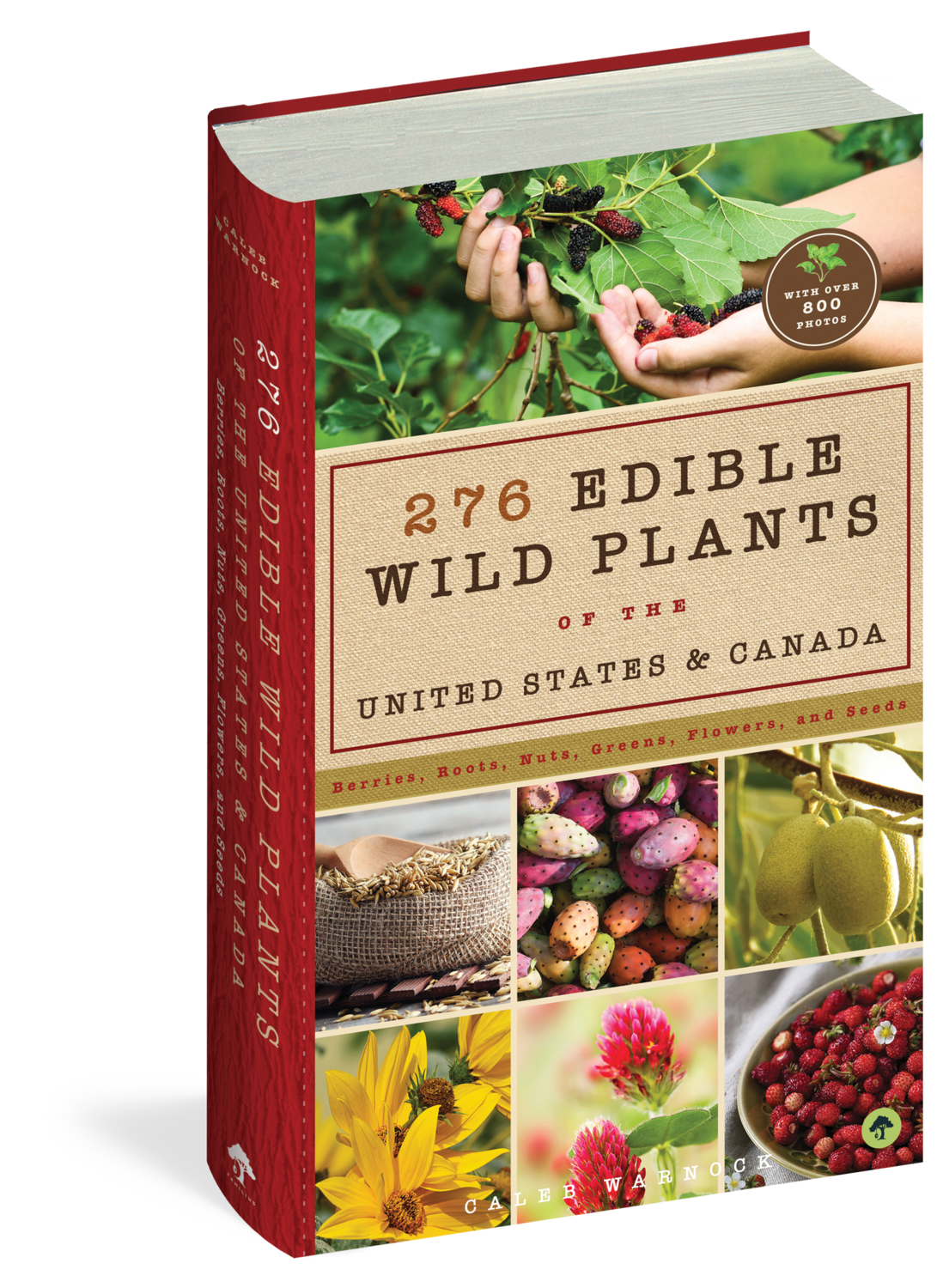 276 Edible Wild Plants of the United States and Canada Book