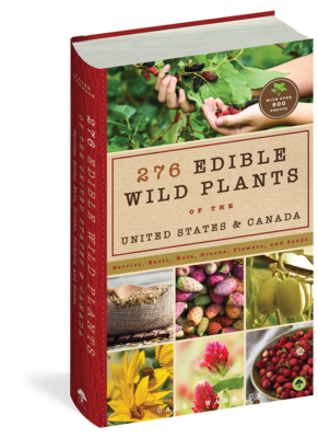 276 Edible Wild Plants of the United States and Canada Book