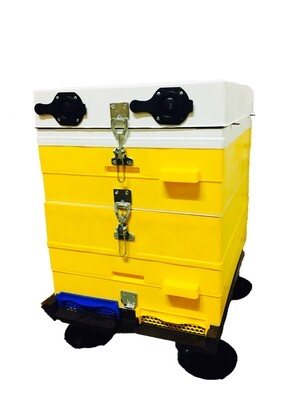 ANEL PLASTIC BEE HIVE KITS 