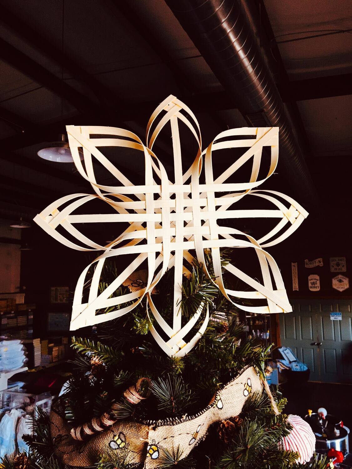 Carolina Star Christmas Tree Topper